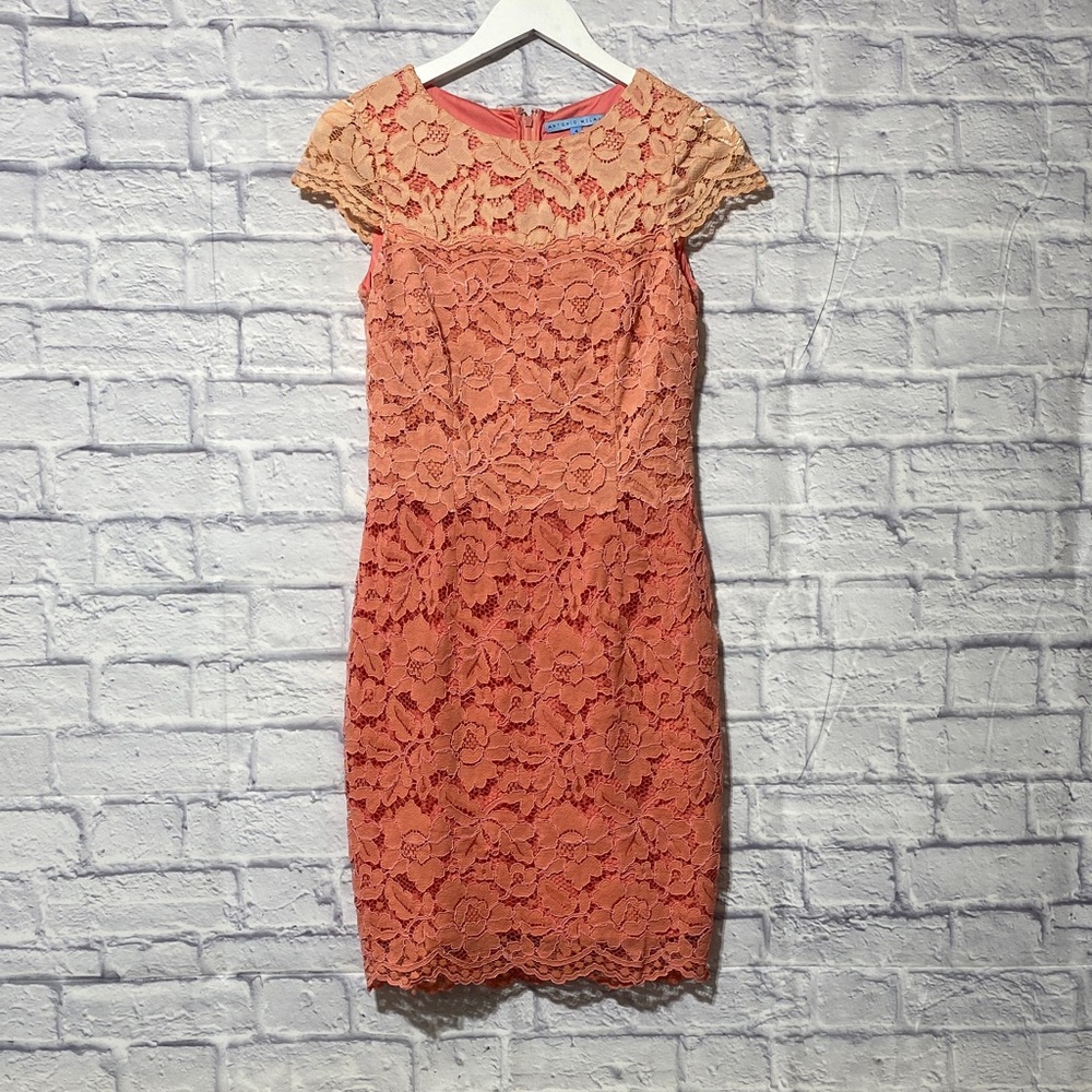 ANTONIO MELANI Coral Lace Mini Dress